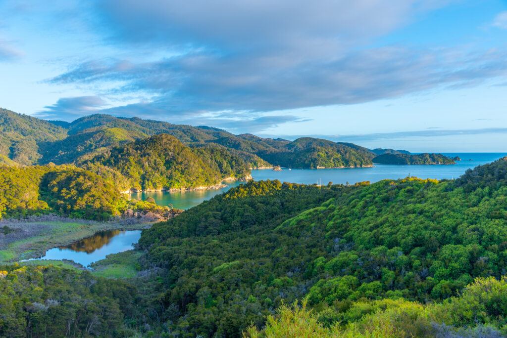 Abel Tasman