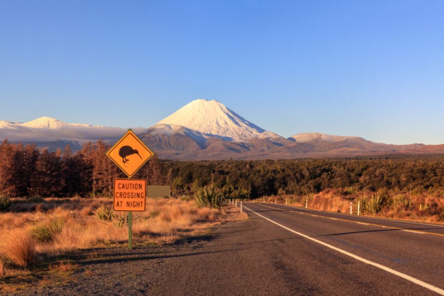 What to do in New Zealand The 25 most beautiful places to visit