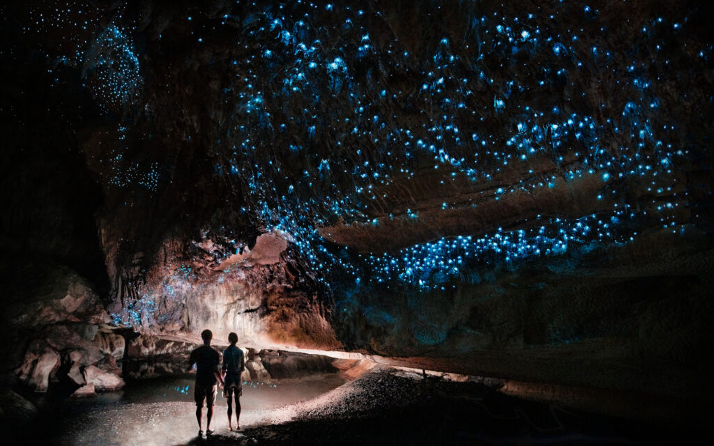 Waitomo Caves