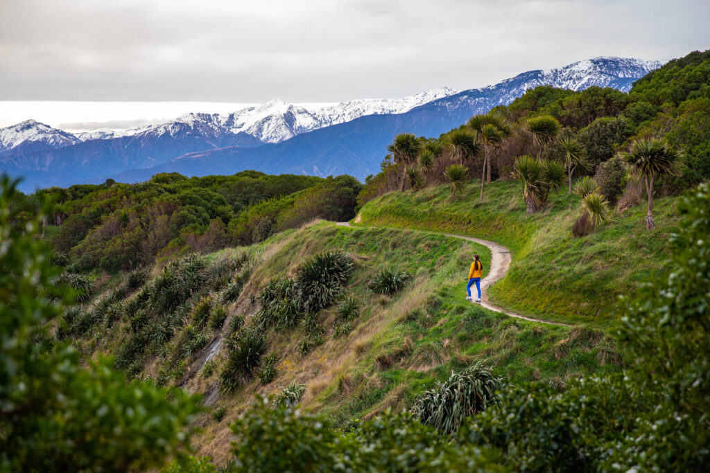 Randonnée sur la péninsule de Kaikoura 