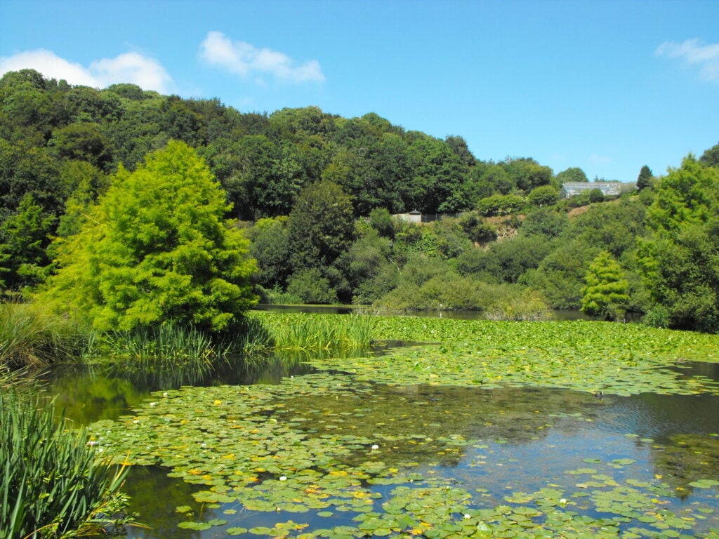 Jardin botanique de Brest