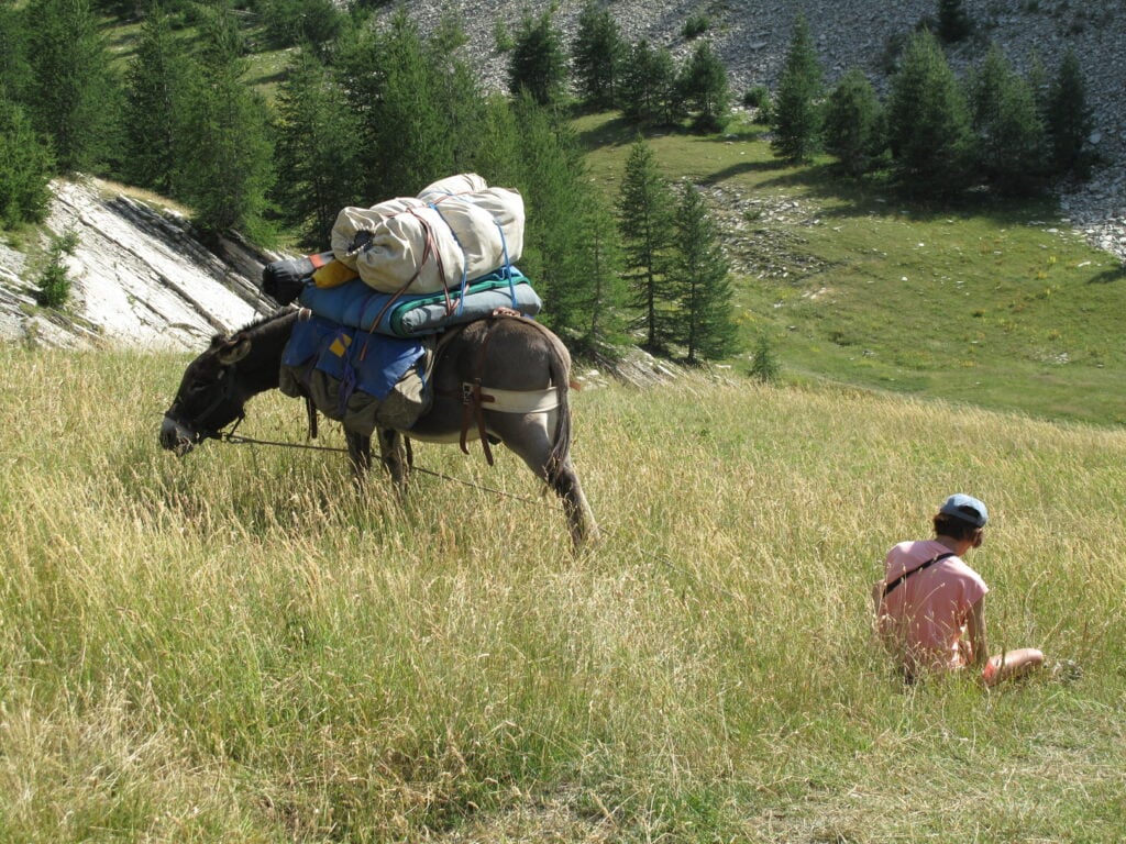 Randonner avec un âne