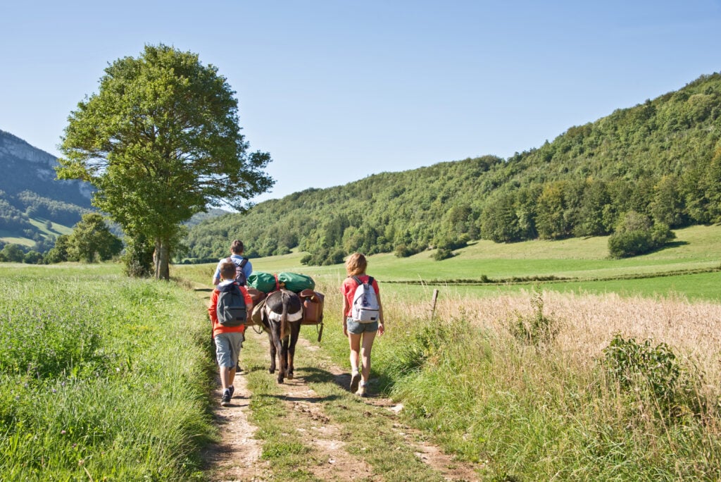 Randonnée sur le Chemin de Stevenson 