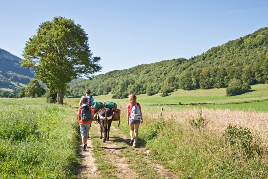 Wandern auf dem Stevenson-Weg: Route & Tipps