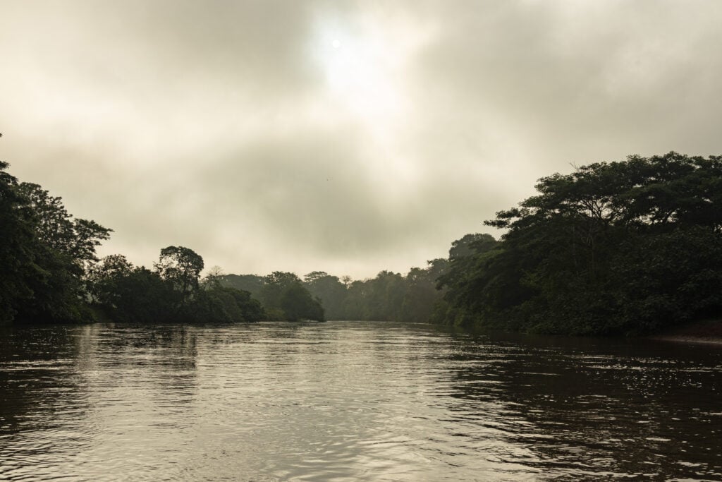 Réserve Caño Negro Costa Rica
