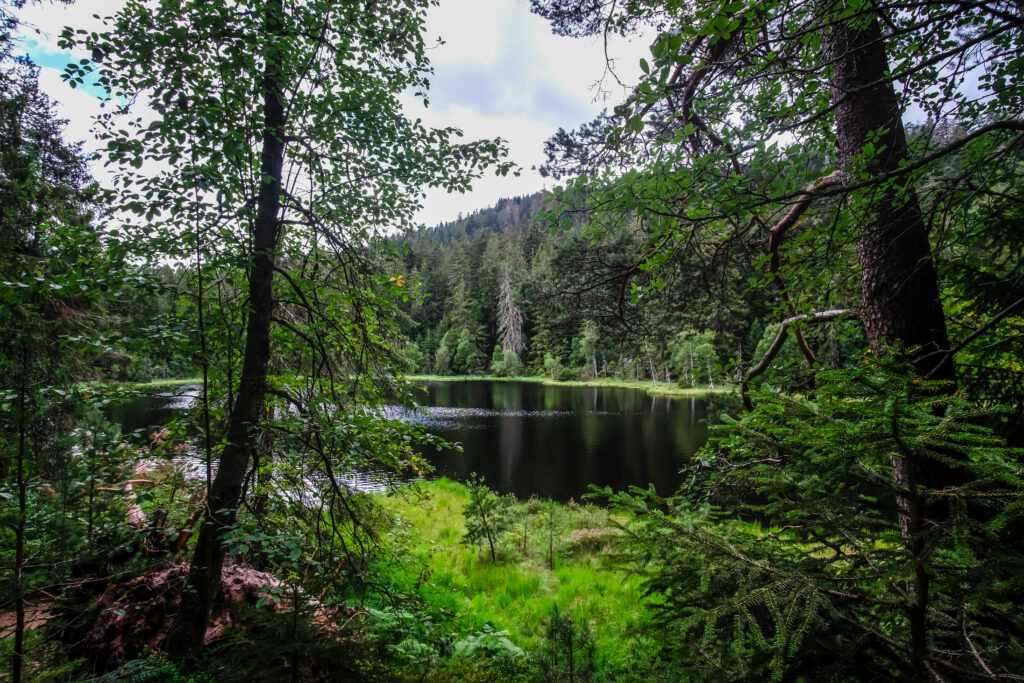 Lac dans la Forêt Noire