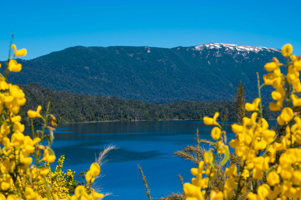 Que faire en Patagonie argentine ? Suivre la route des 7 lacs en Patagonie