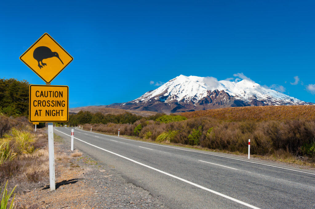 Vue sur le Mont Ruapehu en Nouvelle-Zélande