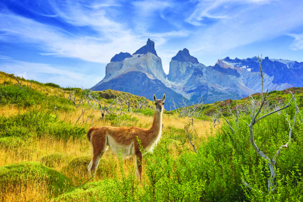 Parc national Torres del Paine.