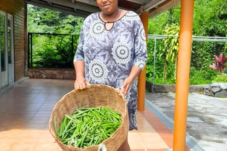 Vanille de Martinique