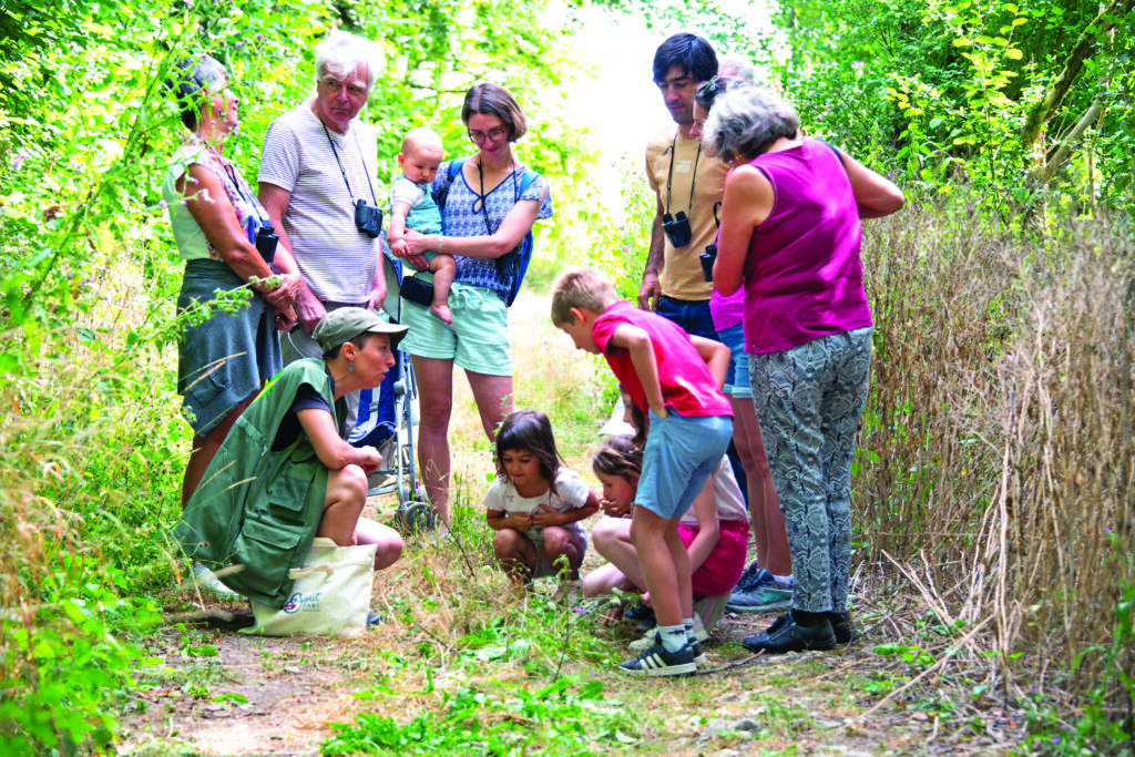 Les Sentiers de la Belette (Dancevoir).