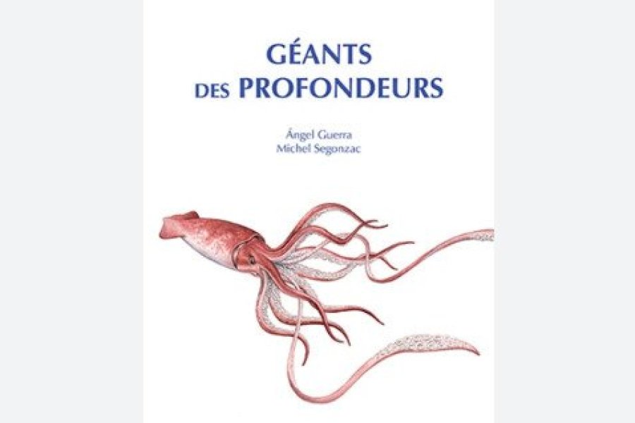 Conseil lecture : 