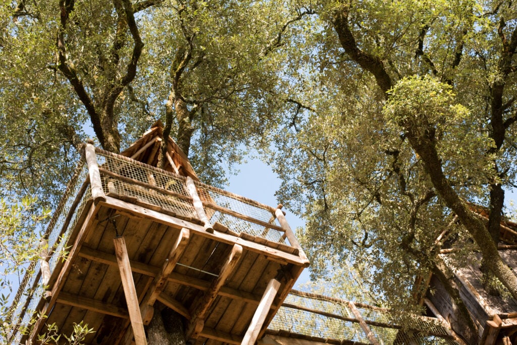 Cabane perchée