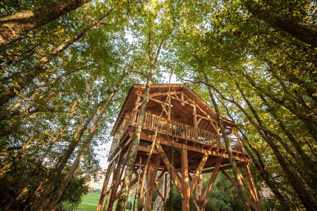 Cabane dans les arbres 