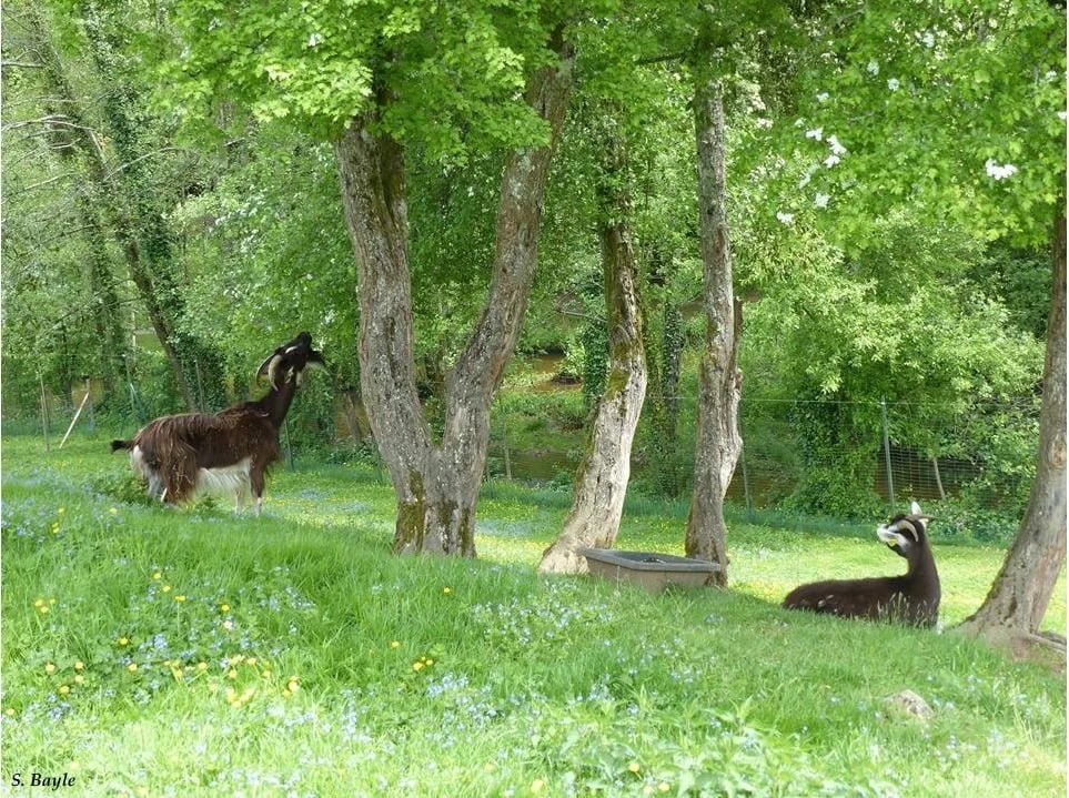 Parc de l’Aurence