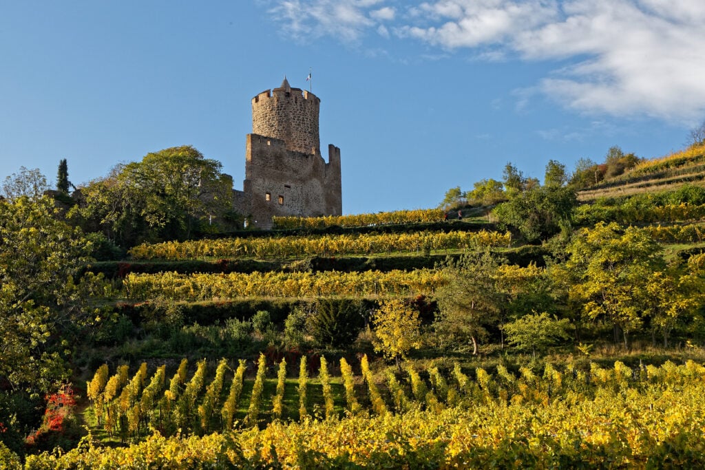 Que faire à Kaysersberg ?  Monter au Château 