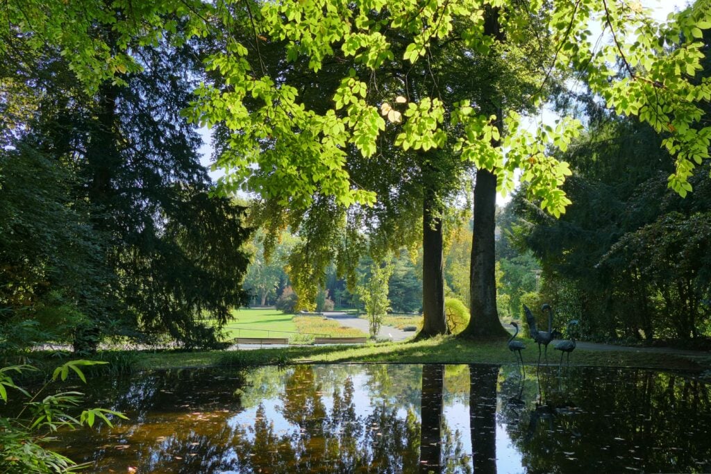 Le Parc Belvoir : un magnifique parc où se balader à Zurich