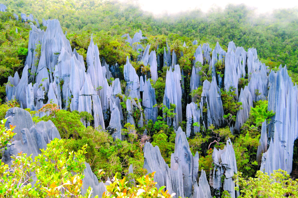 ​​​​​Pinnacles, Gunung Mulu National Park.