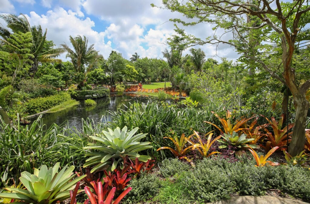 Le Jardin Botanique de Naples