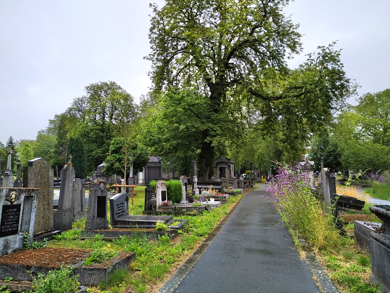 Le Cimetière de l'Est