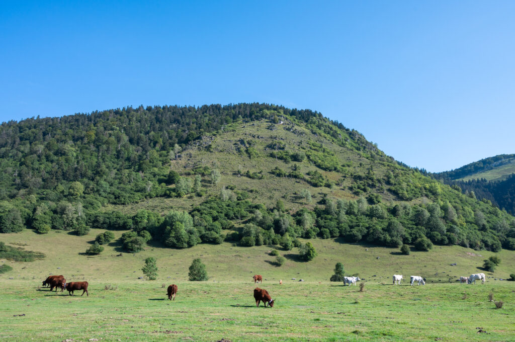 Plateau du Bénou en Ossau