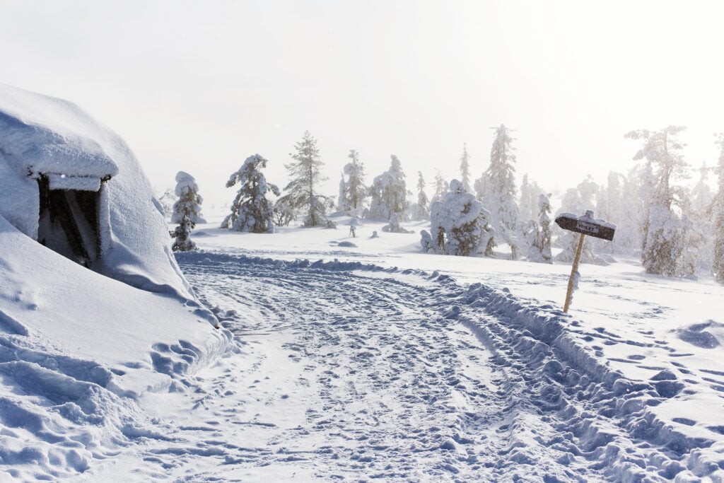 Pyhä-Luosto National Park