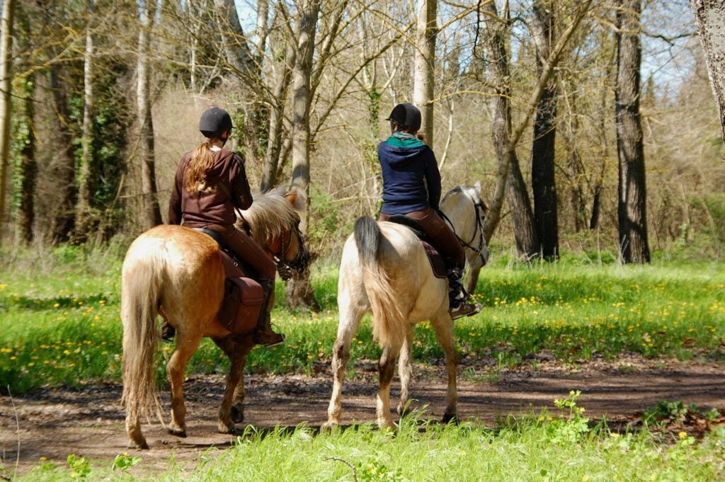 Que faire à Tarbes ? Une balade à cheval