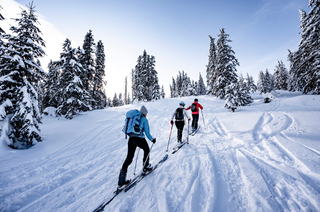 Ski de randonnée