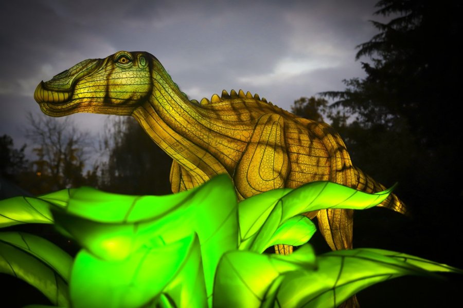 Jurassique en lumière : une odyssée préhistorique au Jardin des Plantes