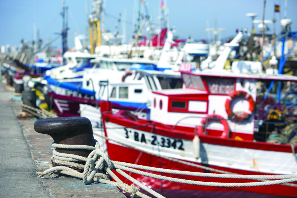 Bateaux de pêche. 