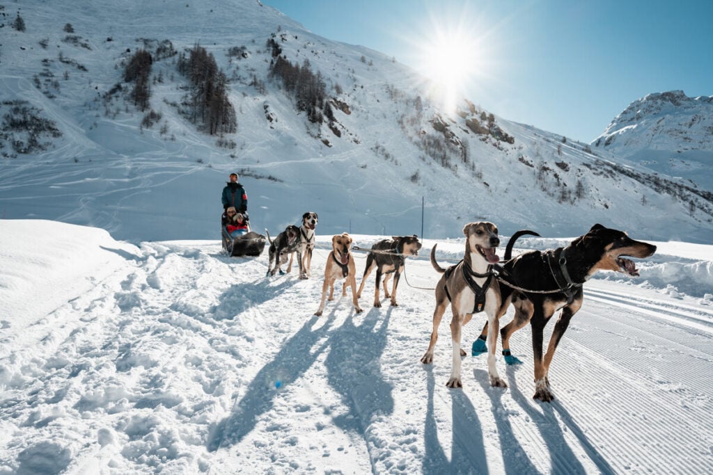 Que faire à Val d'Isère ? Du traineau à chiens