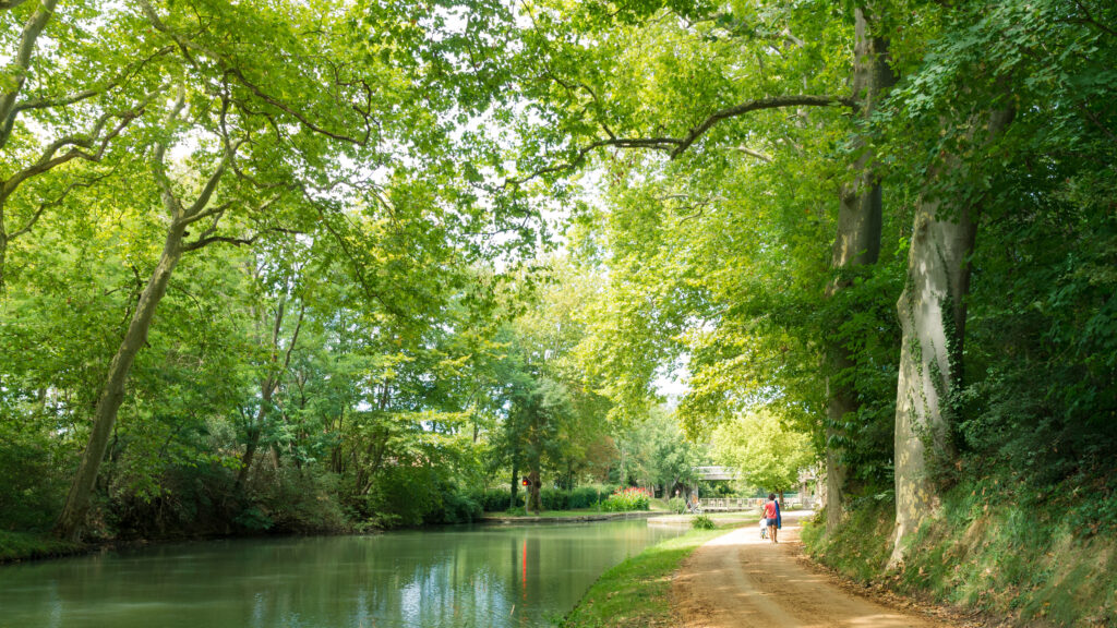 Le Canal du Midi