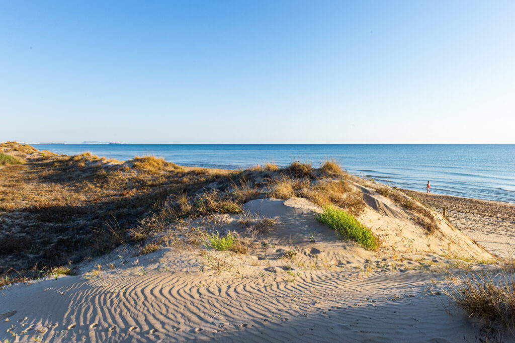 Plage Terranova 