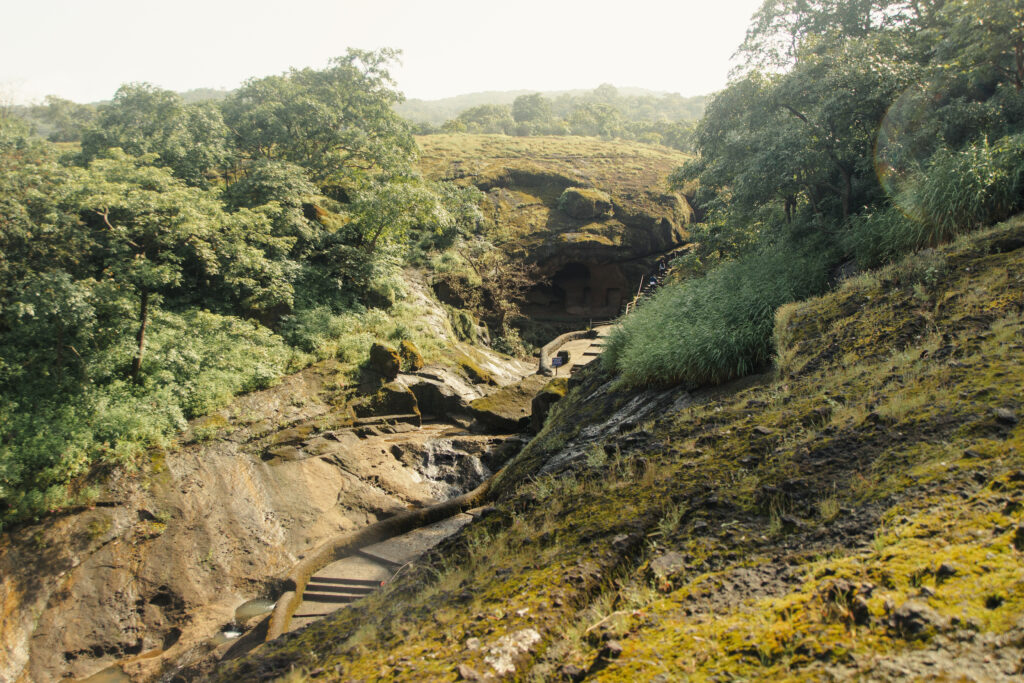 Parc National Sanjay Gandhi 