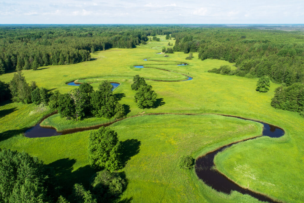 Vue aérienne sur le Parc national de Soomaa 