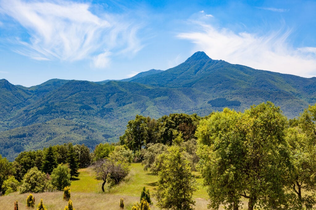 Parc Naturel Montseny - Catalogne 