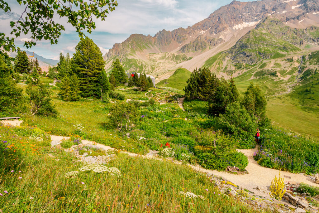 Col du Lautaret - Jardin Botanique