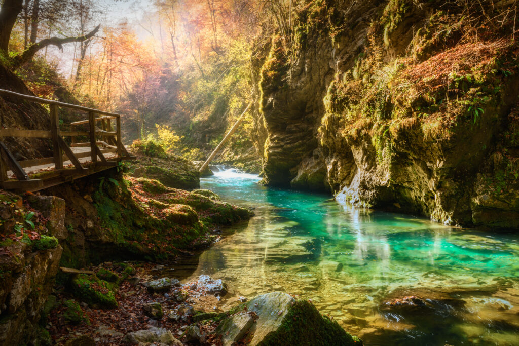 Les magnifiques gorges de Vintgar