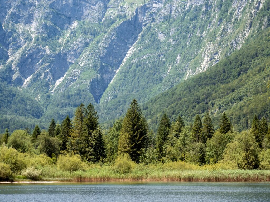 Vue sur le lac de Bohinj