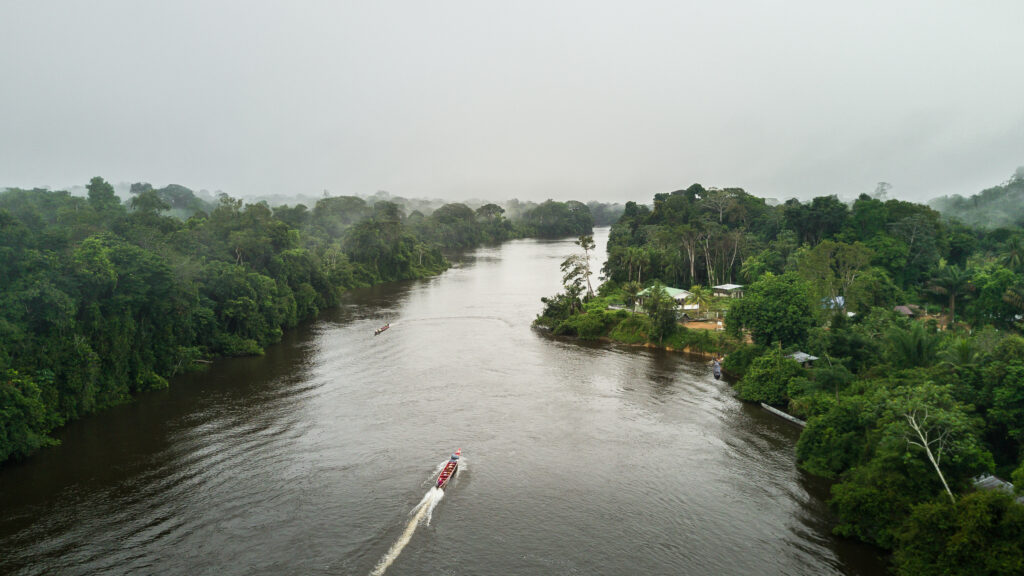 Fleuve au Suriname