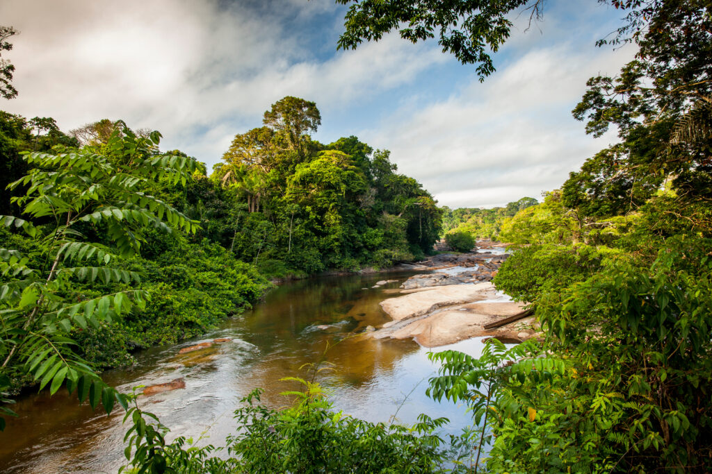 que faire au Suriname ? 