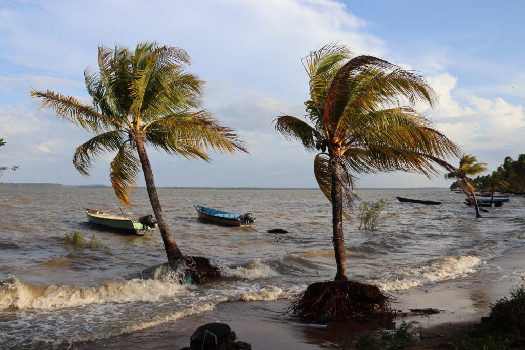 Galibi - Suriname