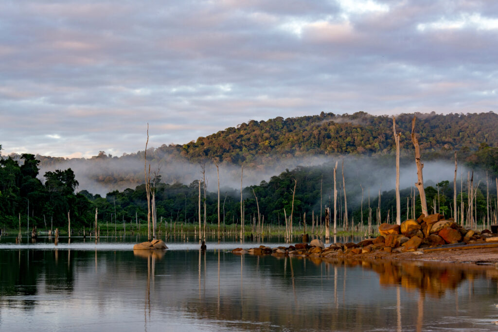 Parc Naturel de Bronwsberg - Suriname 