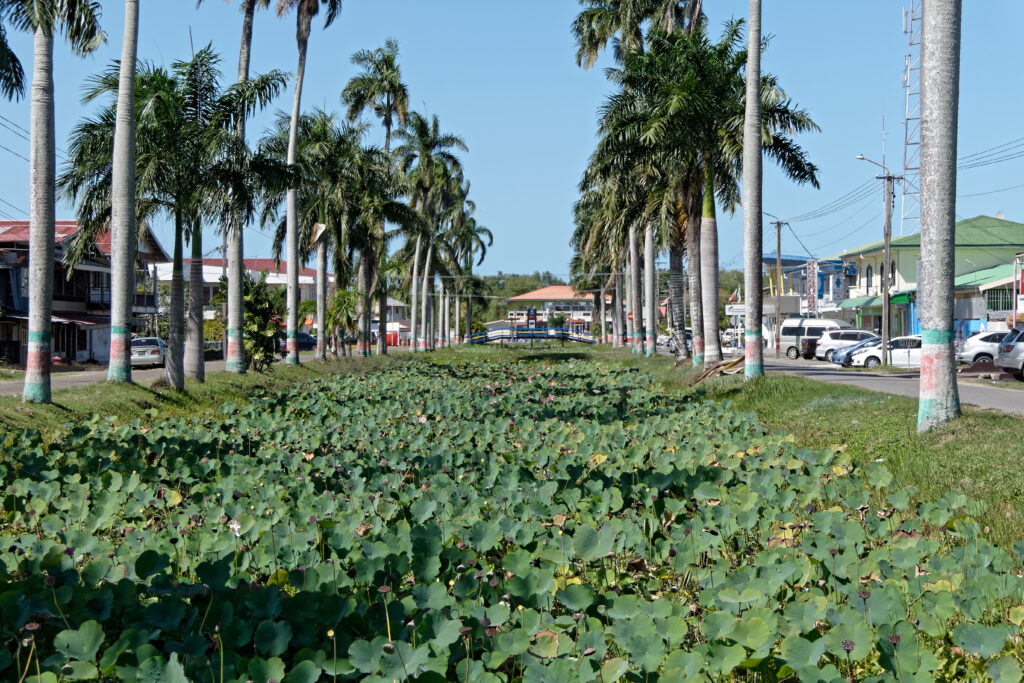 Canal de Nieuw Nickerie 