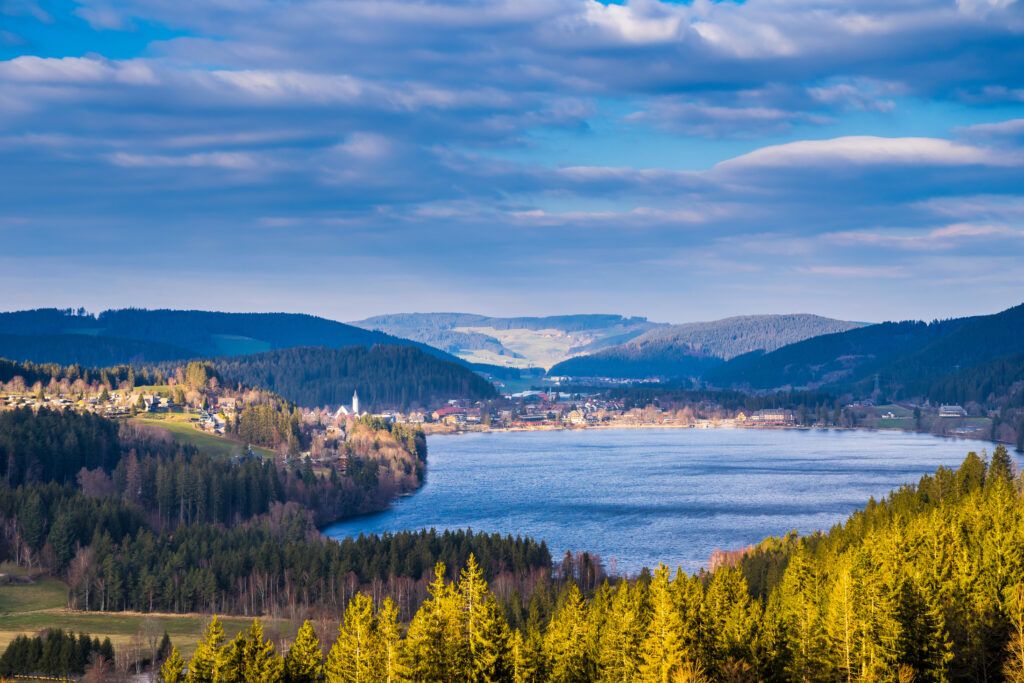 Vue sur le lac Titisee