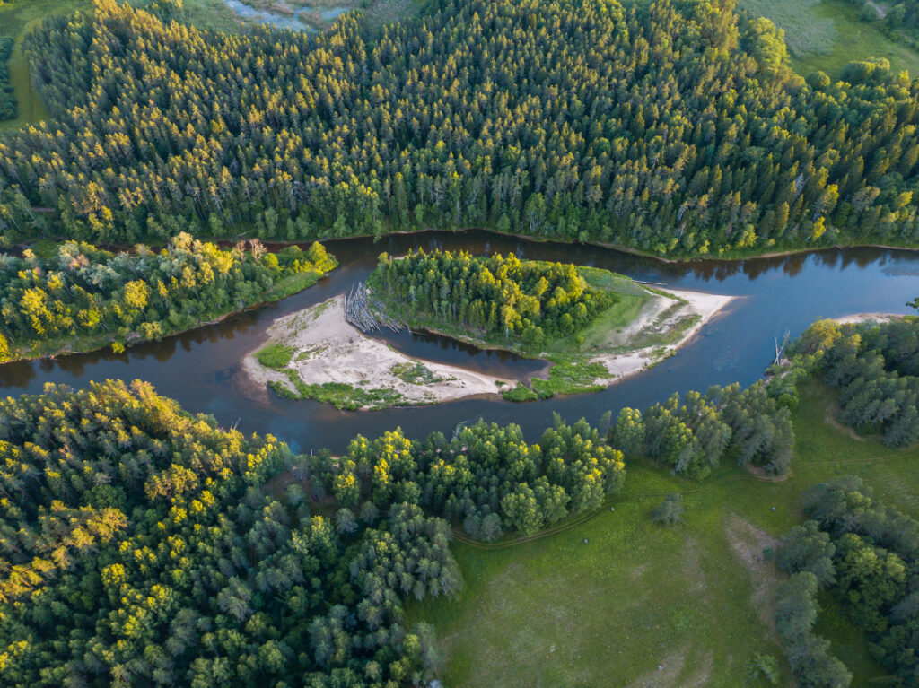 Vue sur le Parc national de Gauja