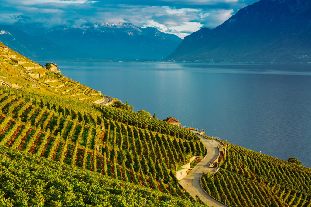 Terrasses de Lavaux 