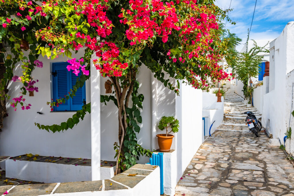 Ruelles du village de Artemonas