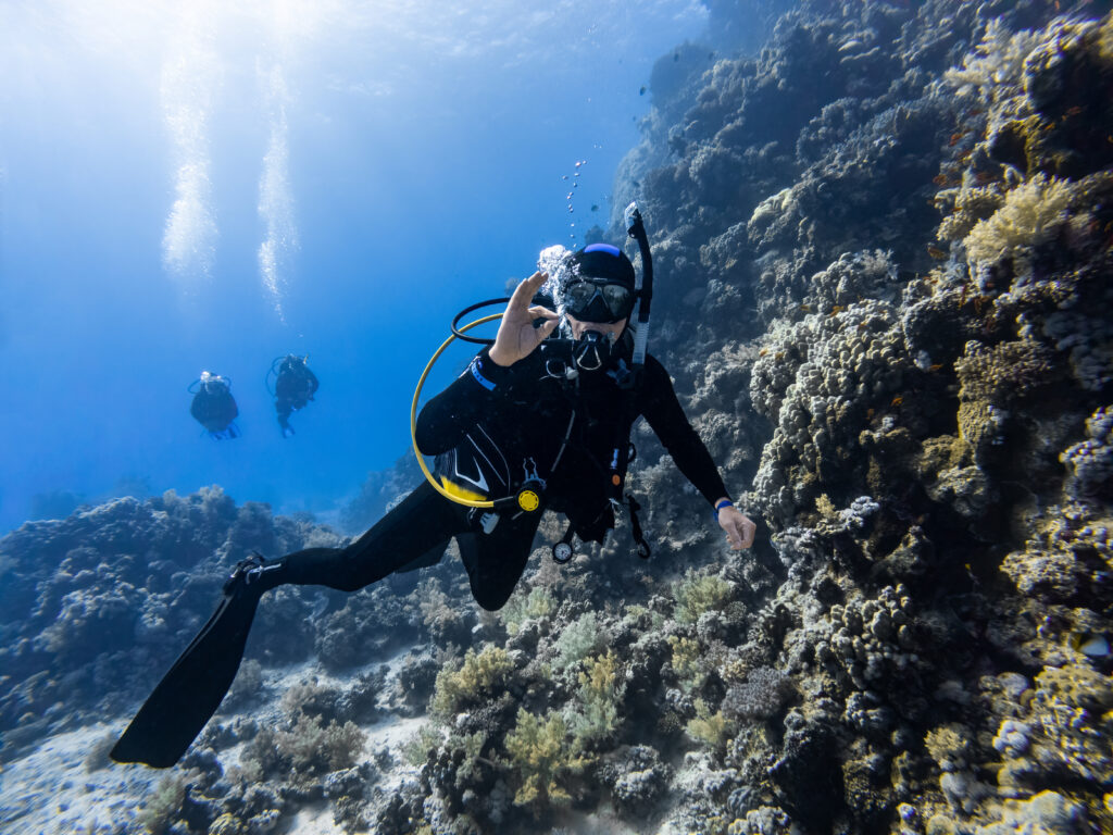 Session de plongée sous-marine