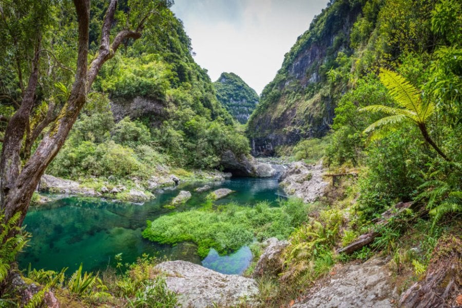 Organiser son voyage sur l’île de la Réunion : ce qu’il faut savoir